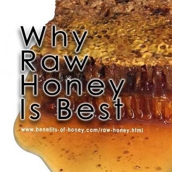  Raw Honey Eco Bee Bell Heights Bell FL